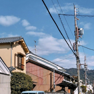 媚黑91九色黑人一区
